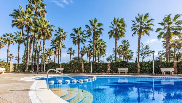 Une piscine dont le bord est recouvert de carreaux, entourée de palmiers et d’une haie.