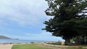 A coastal park with a grassy area, a large tree, and a bench.