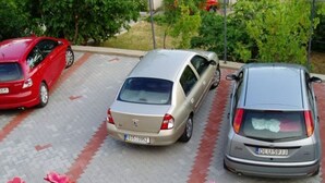 Drie auto's staan op een oprit met een bakstenen patroon.