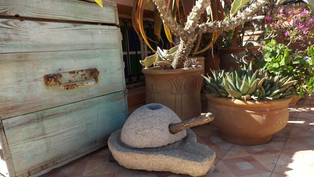 A rustic outdoor setting with a wooden chest, a stone mortar, and potted plants. - Apartment with distant ocean view, sleeps 4/6 (Essaouira)