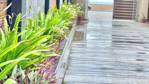 Un sentier en bois, rendu glissant par l’humidité, mène à une entrée fermée par un portail, d’où l’on peut admirer la plage.