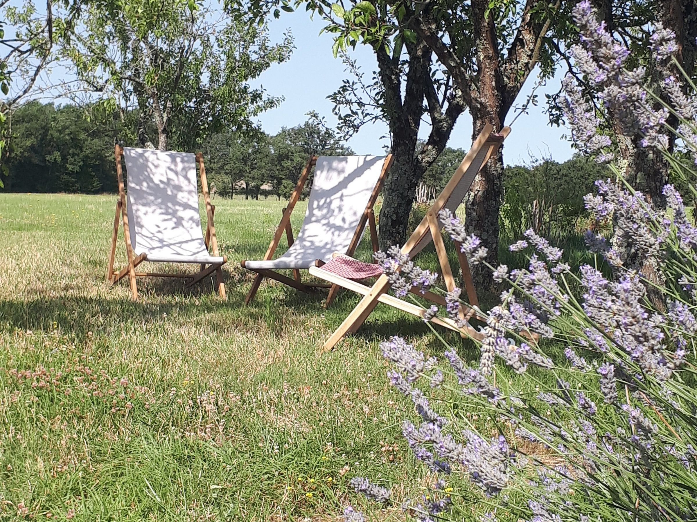 Dos caballetes de madera con lienzos blancos en un entorno al aire libre, con césped y árboles.