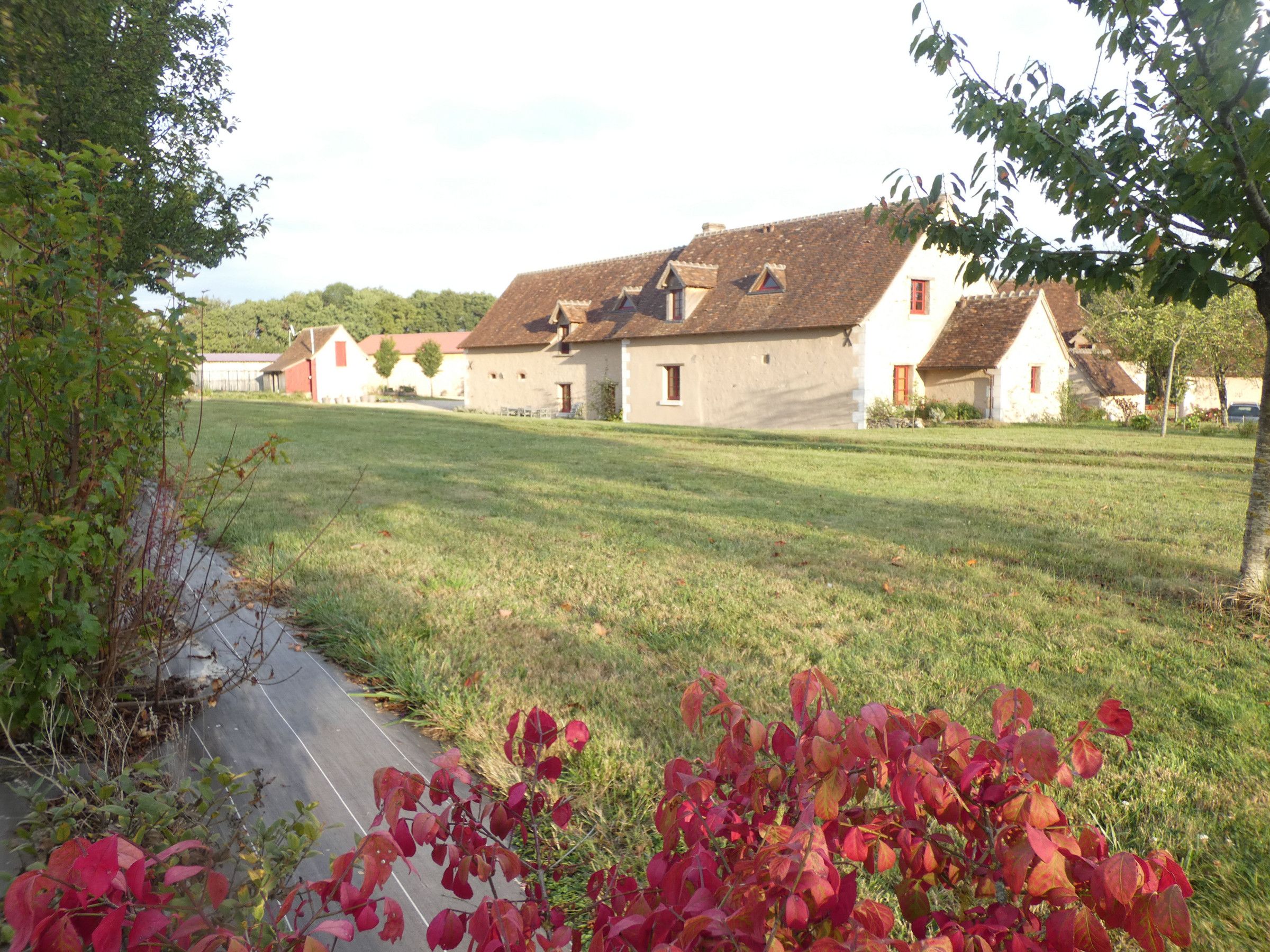 Un paysage rural avec des bâtiments traditionnels, un sentier et un champ d’herbe.