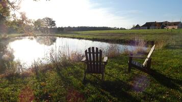 A serene lakeside scene with a wooden bench and a chair facing the water, surrounded by grass and trees.