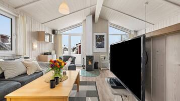 TV, fireplace, DVD player, stereo