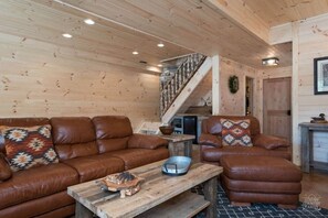 Télévision, cheminée, jeux vidéo, espaces bureaux