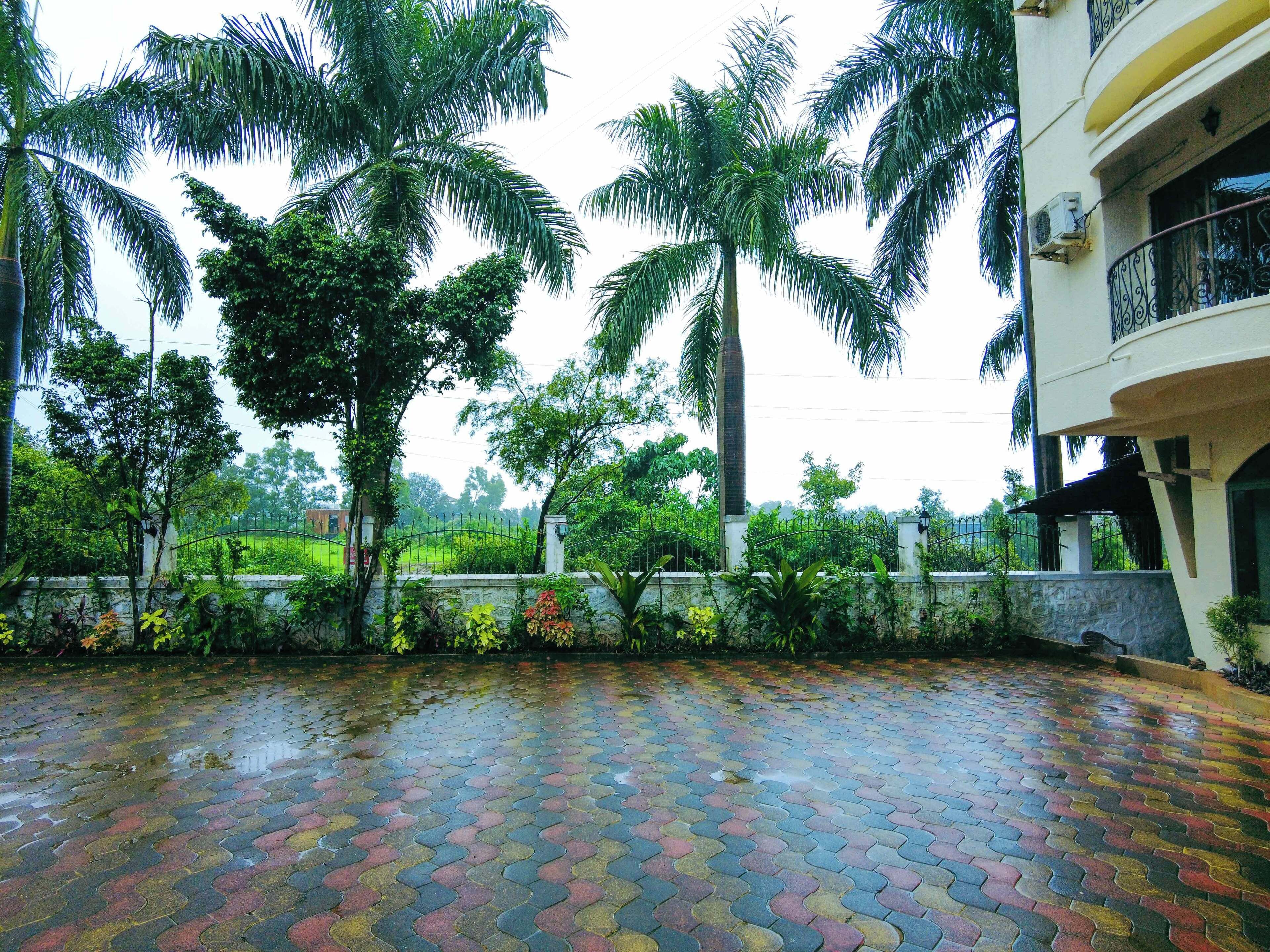 Un patio con suelo empedrado, rodeado de palmeras y un muro de piedra.