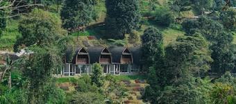 Damar Langit Resort