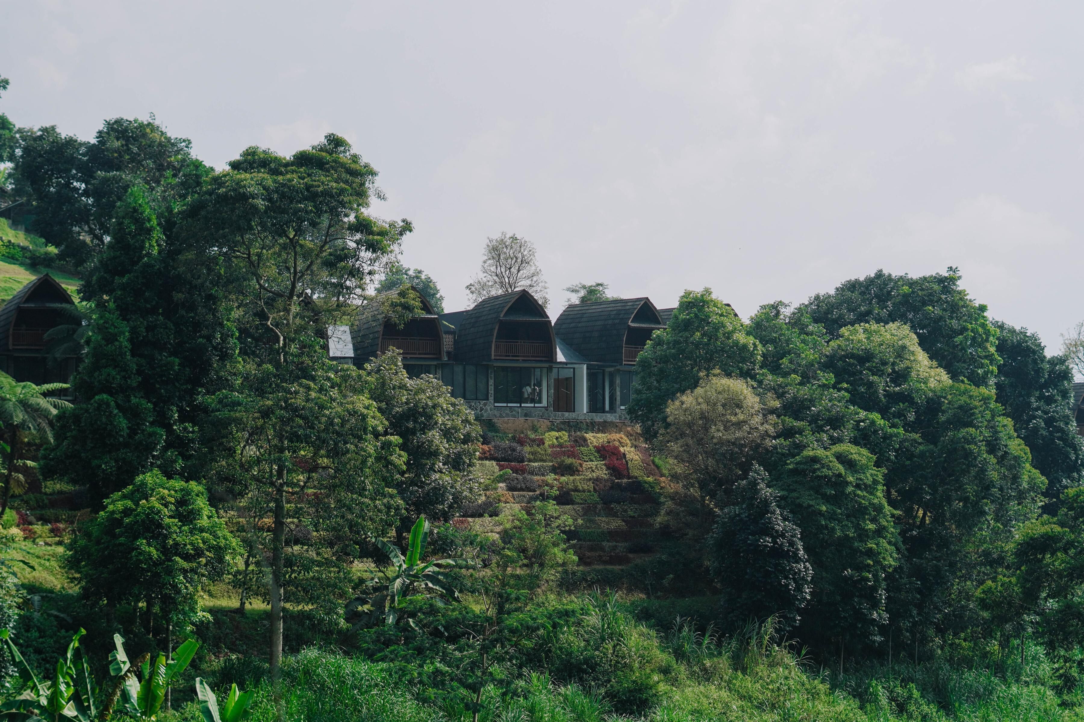 Une rangée de cabanes aménagées comme des maisons dans les arbres, offrant une vue sur la forêt environnante.