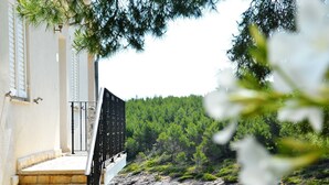 A staircase leading to a balcony overlooking a rocky coastline with a forest in the background.