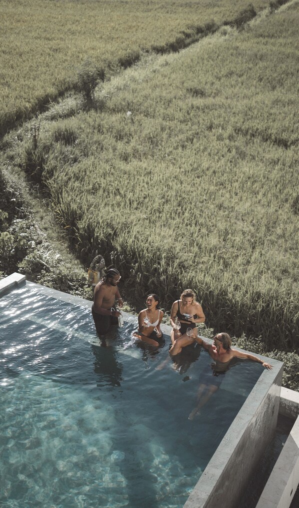 Una piscina al aire libre, sombrillas, tumbonas