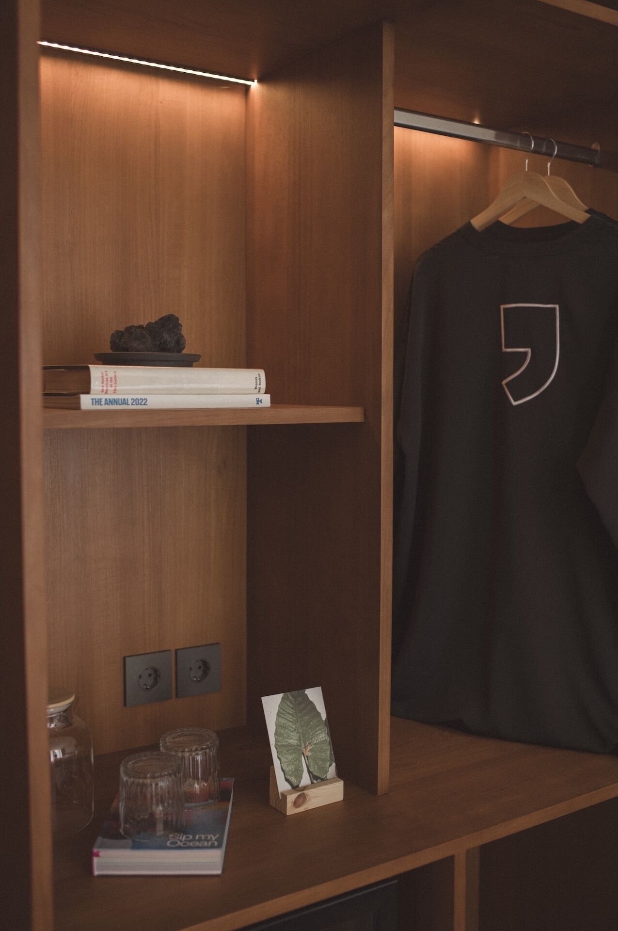 A wooden wardrobe with a hanging rack, shelves with books, and a small plant.