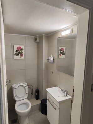 Hair dryer, towels, soap, shampoo - Unique opportunity to stay in a historic Athenian Mansion. (Athens)