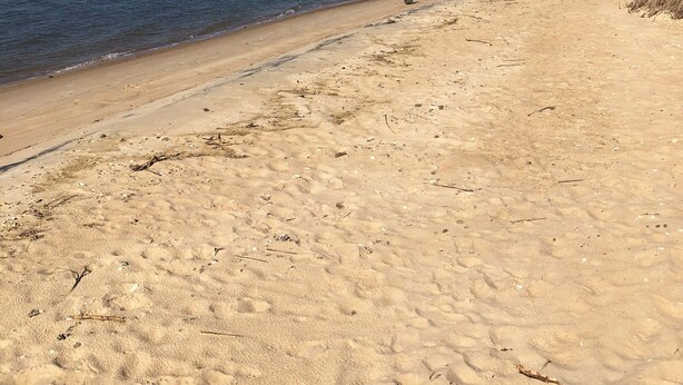 Beach - Near Chincoteague & Assateague Island
Charming 2-bedroom cottage (Saxis)