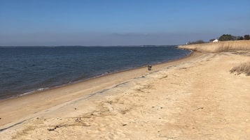 Sun-loungers, beach towels