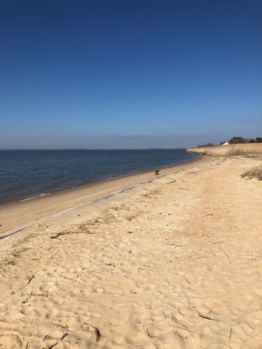 Near Chincoteague & Assateague Island
Charming 2-bedroom cottage