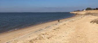 Near Chincoteague & Assateague Island
Charming 2-bedroom cottage