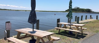 Near Chincoteague & Assateague Island
Charming 2-bedroom cottage