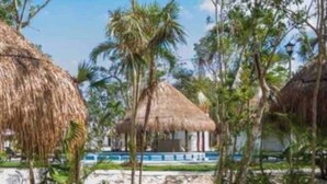 A beachside area with thatched-roof structures, palm trees, and a brick bench.