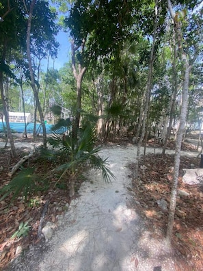 Property grounds