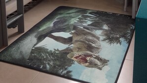 Ein Schlafzimmer mit Etagenbetten, einem Schreibtisch, einem Fenster mit Vorhängen und einem Poster an der Wand.