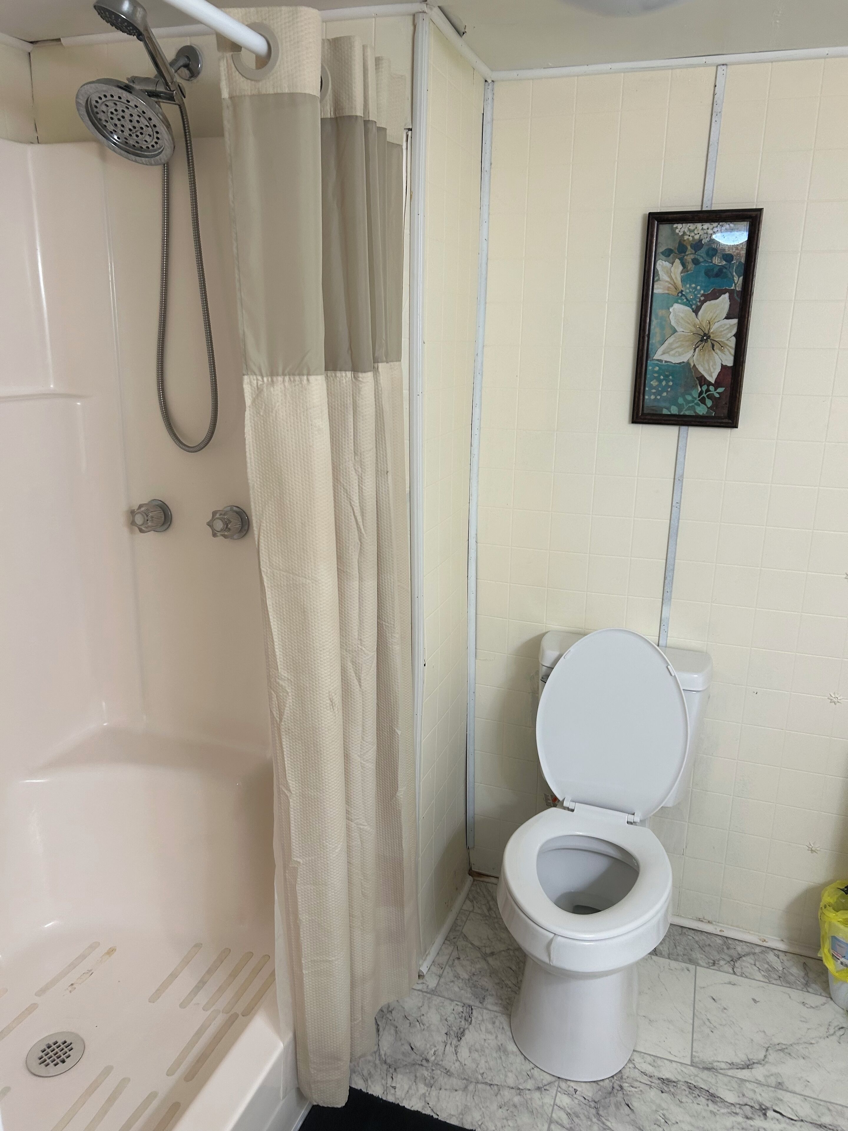 A bathroom with a shower, toilet, and a framed picture on the wall.