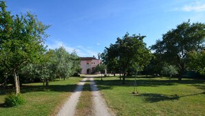 A gravel path leading to a building with a stone facade and a tiled roof, surrounded by trees and grass. - Green and Lush Apartments With Terrace (Rovinj)
