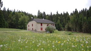 Een huis met een rood dak en witte muren, omgeven door een veld met paardenbloemen en andere bloemen.