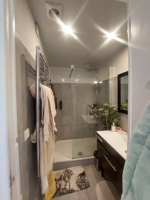 Shower, hair dryer, towels, soap - Beautiful, quiet, bright artist's apartment. South-facing terrace, air conditioning. (Marseille)