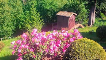 Udendørsområde