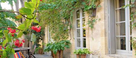 テラス / パティオ