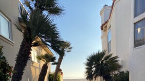 Een smal betonnen pad, omzoomd door palmbomen en beplanting, dat naar een strand leidt.