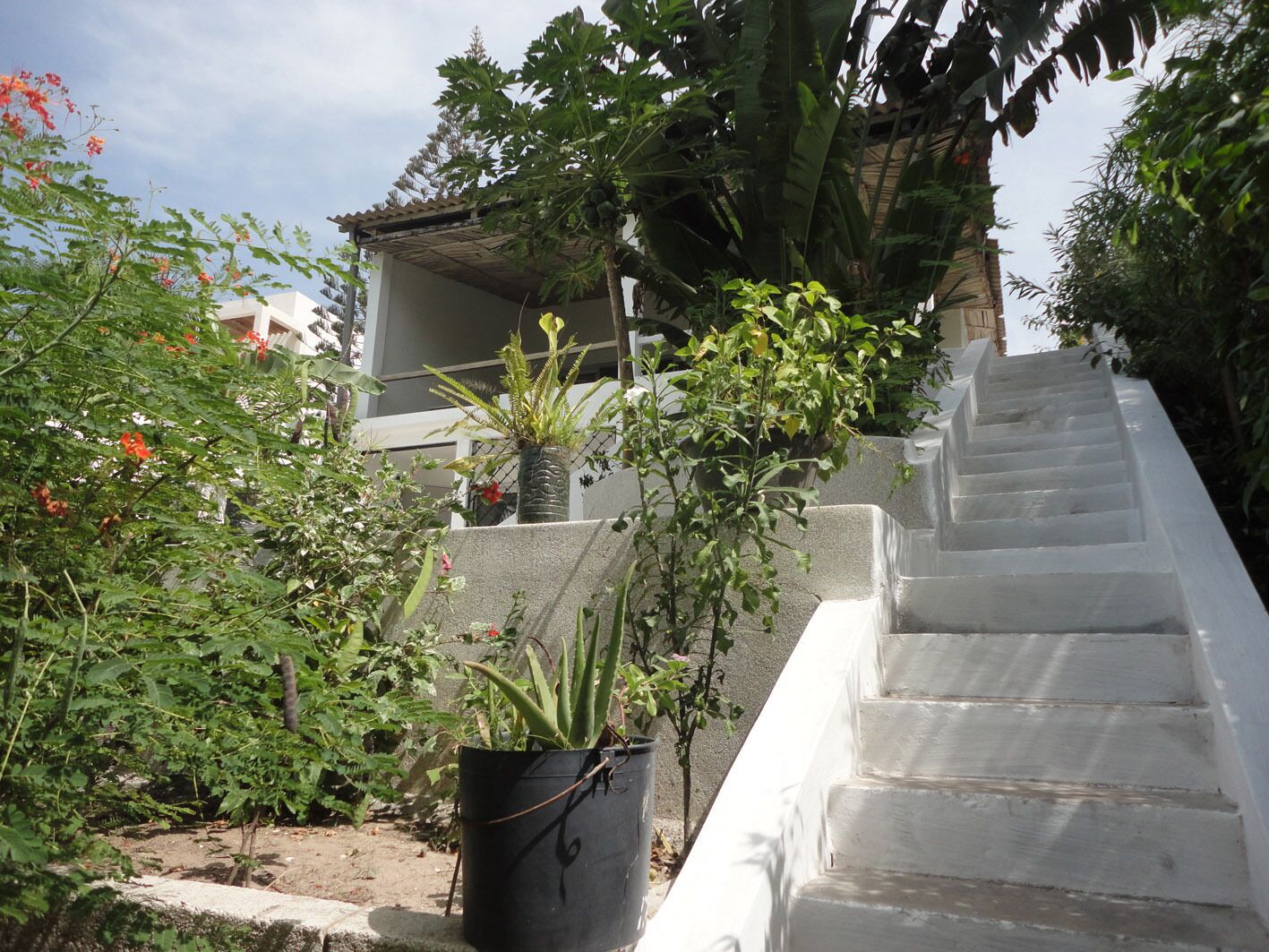 Enceinte de l’hébergement