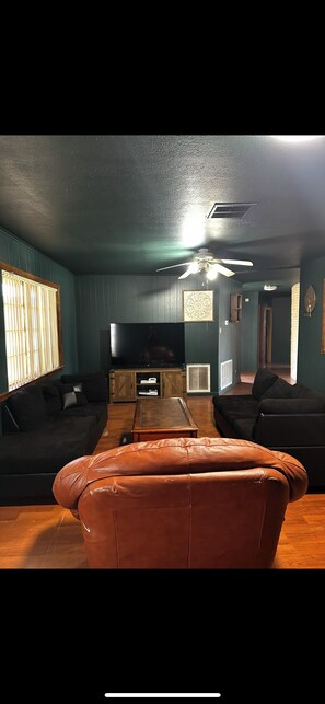 TV