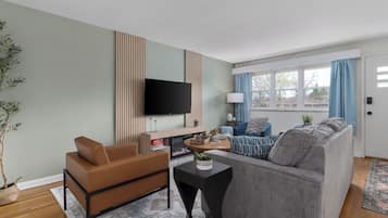 Smart TV, fireplace, books