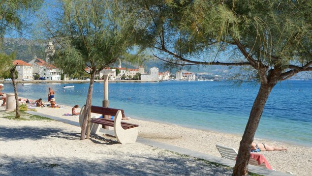Una playa con un banco, un árbol y vista al mar y edificios al fondo.