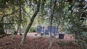 A rustic cabin in a forest with a dirt ground and leaf-covered ground. - If you go into the woods today... Off-grid yet comfy, warm and luxurious  (Canterbury)