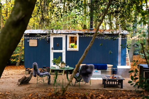 If you go into the woods today... Off-grid yet comfy, warm and luxurious 