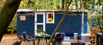 If you go into the woods today... Off-grid yet comfy, warm and luxurious 
