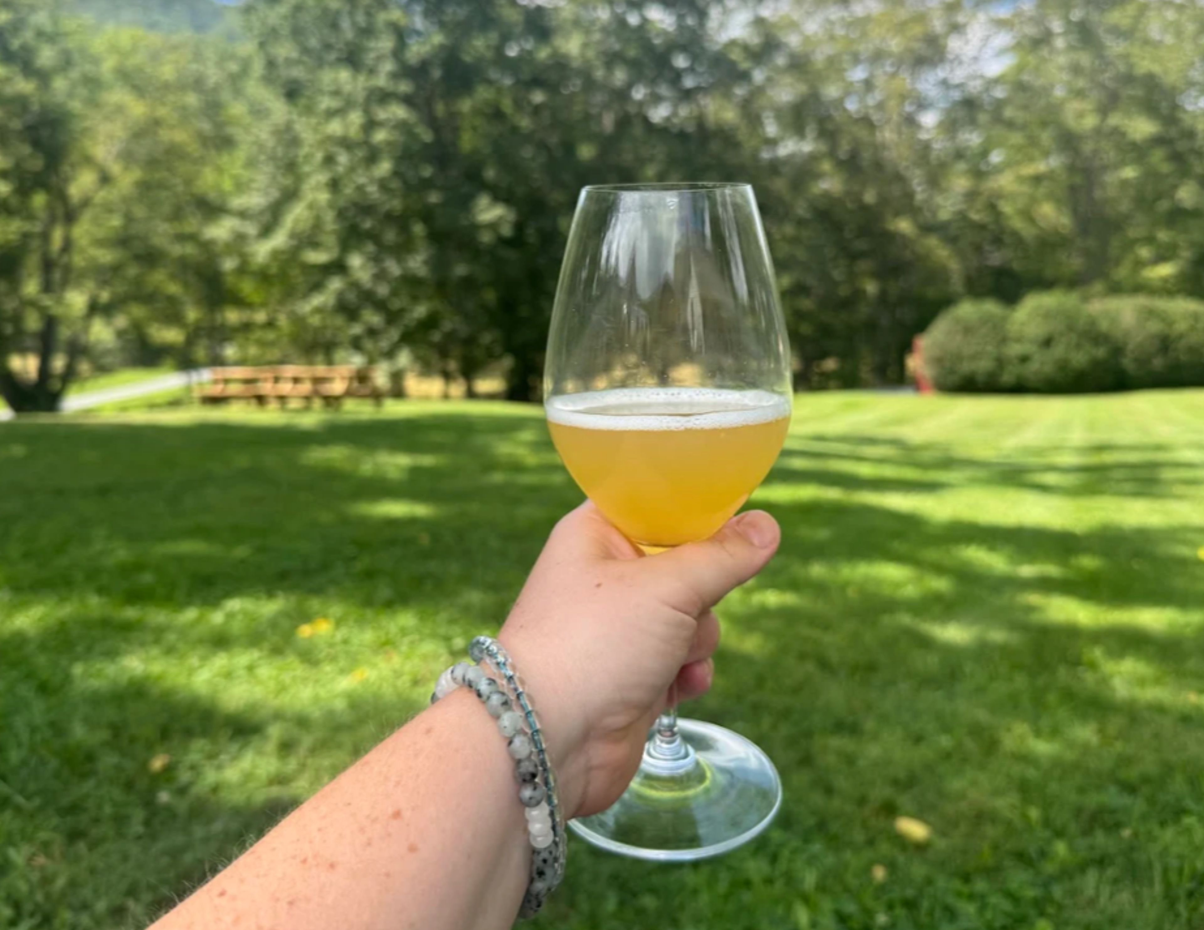 Eine Hand hält ein Glas Bier im Freien, im Hintergrund eine Wiese und Bäume.