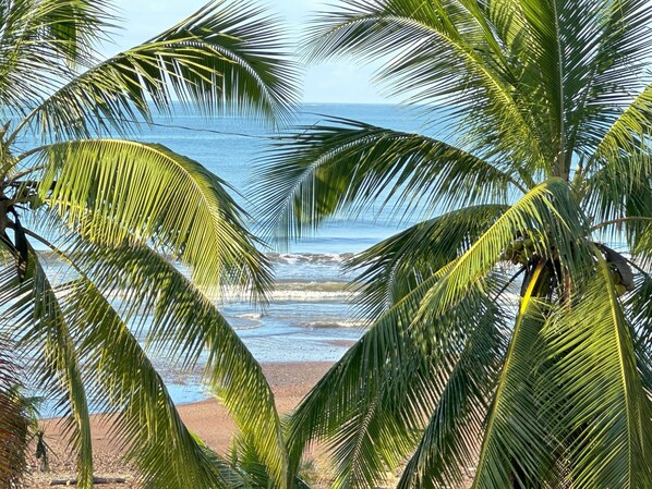 Beach - Ocean View "Pacific Point" Luxury 1 bedroom with balcony (Jaco)