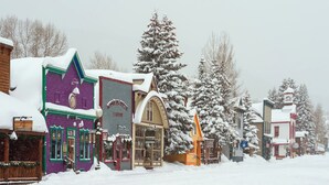 A snow-covered street with buildings, including a purple building with a sign that reads "Liquor".