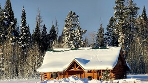 Une cabane en rondins dont le toit est recouvert de neige, entourée de grands arbres à feuilles persistantes et d’un paysage enneigé.