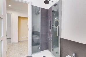 Shower, hair dryer, bidet, towels
