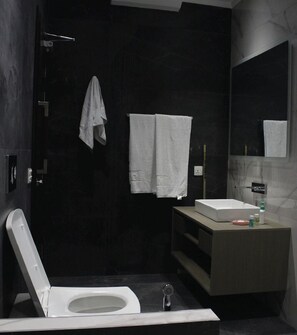 Shower, hair dryer, bidet, towels