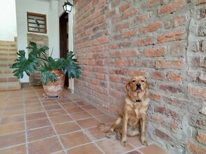 DĂ©tail de lâextĂ©rieur