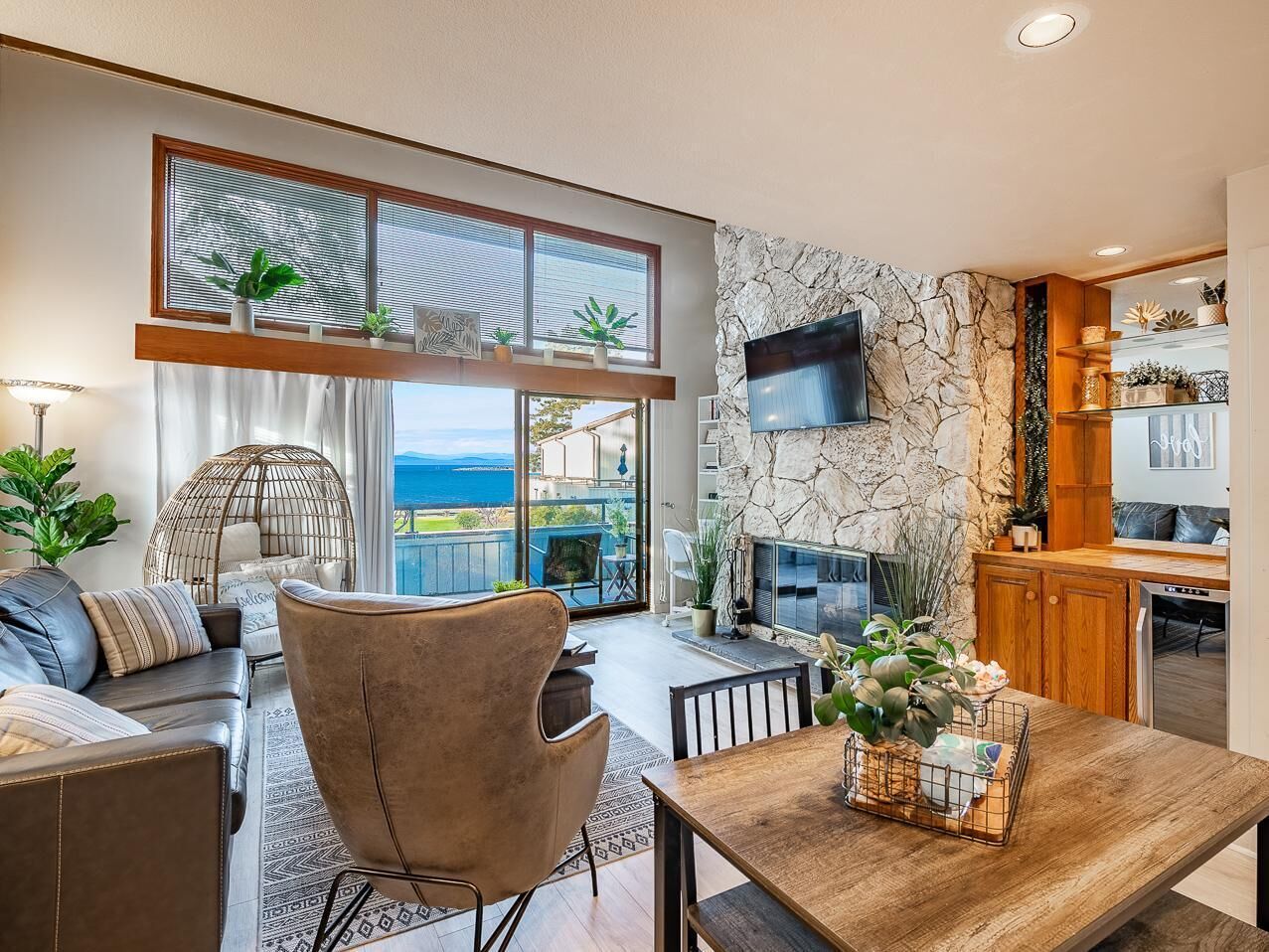 Smart TV, fireplace, video games, DVD player