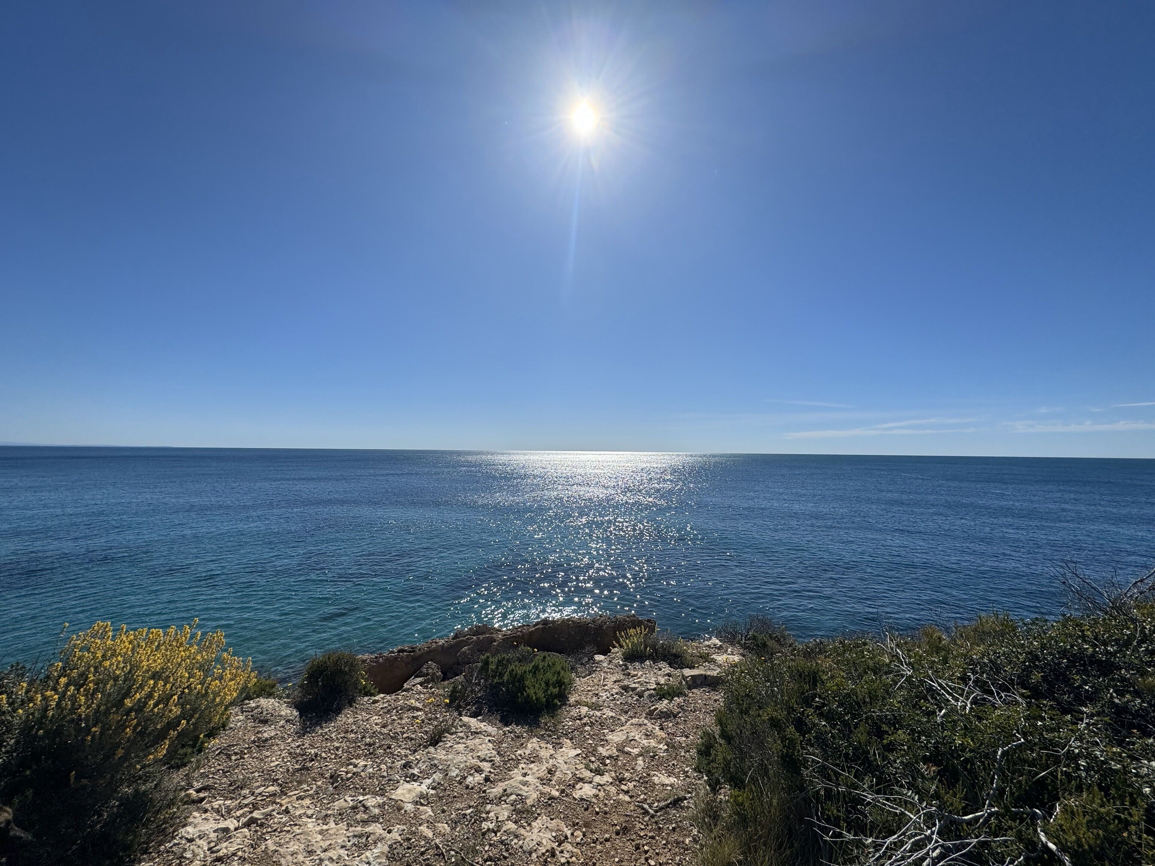 A coastal landscape with rocky terrain and sparse vegetation.