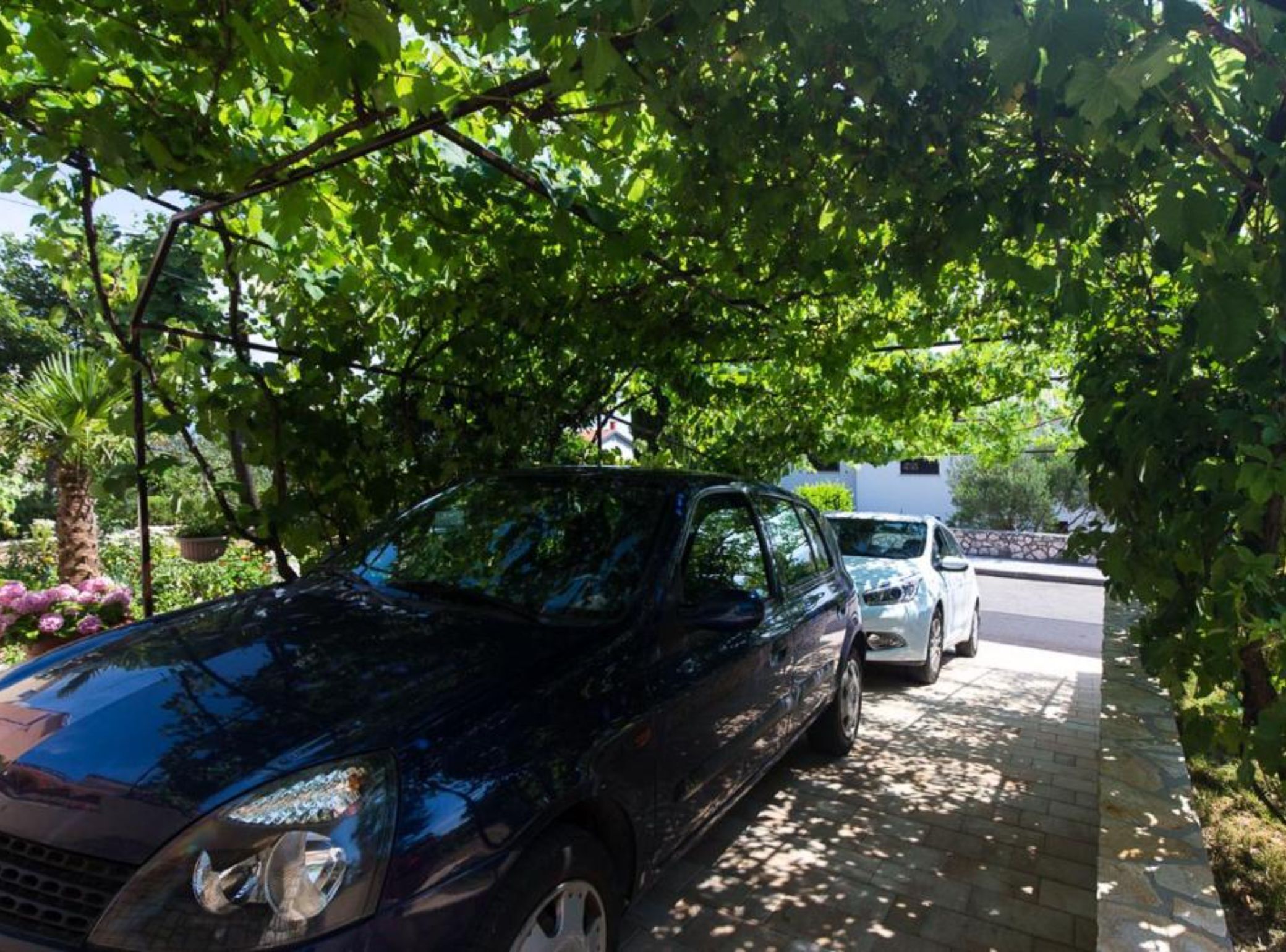 Un coche negro estacionado bajo un dosel de árboles.