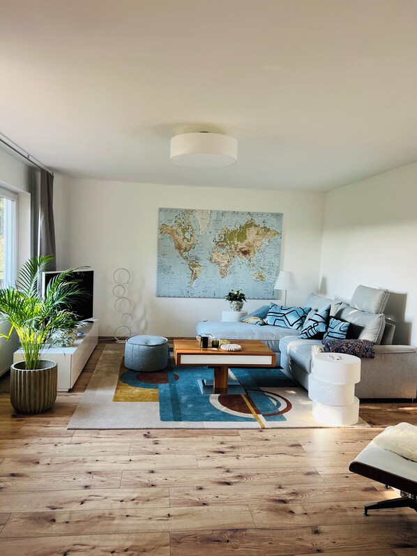TV, books, music library, stereo